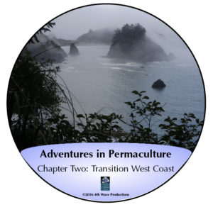 AdvP2cover